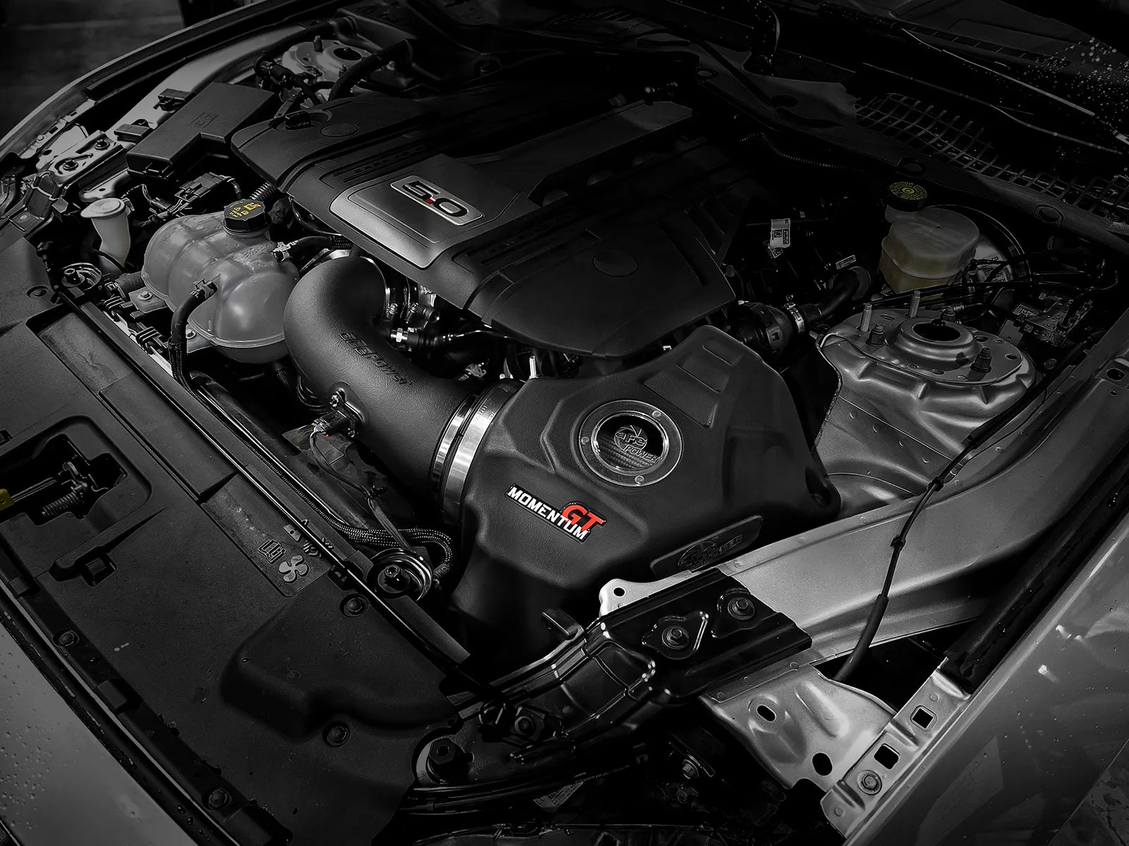 Momentum GT Cold Air Intake System w/Pro DRY S Filter 50-70033D Ford Mustang GT 18-23 V8-5.0L
