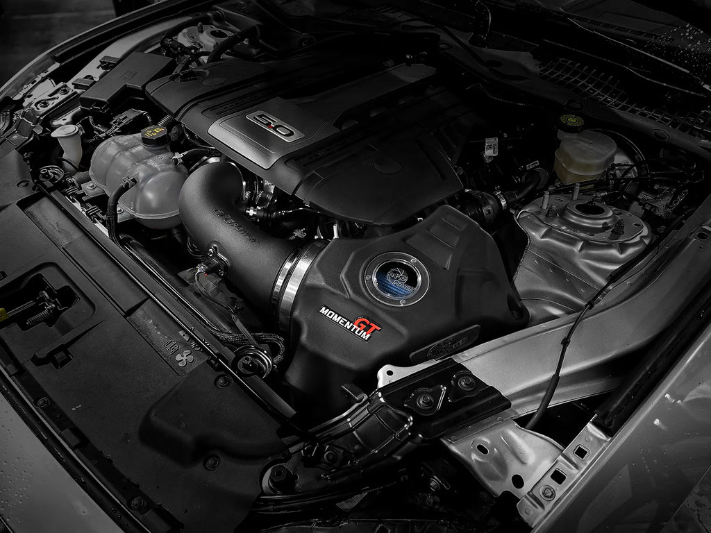 Blackout Performance 18-23 Mustang GT Prowler Stage 1 Package #BOP-MGT-003